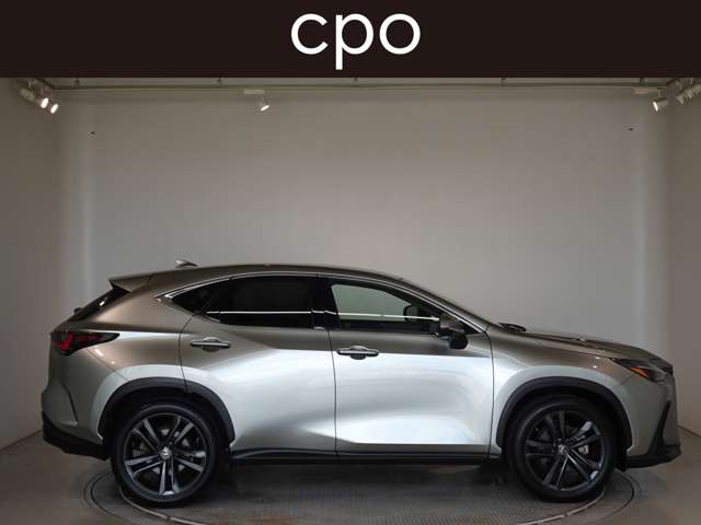 Lexus NX 7