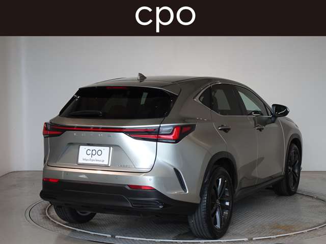 Lexus NX 8