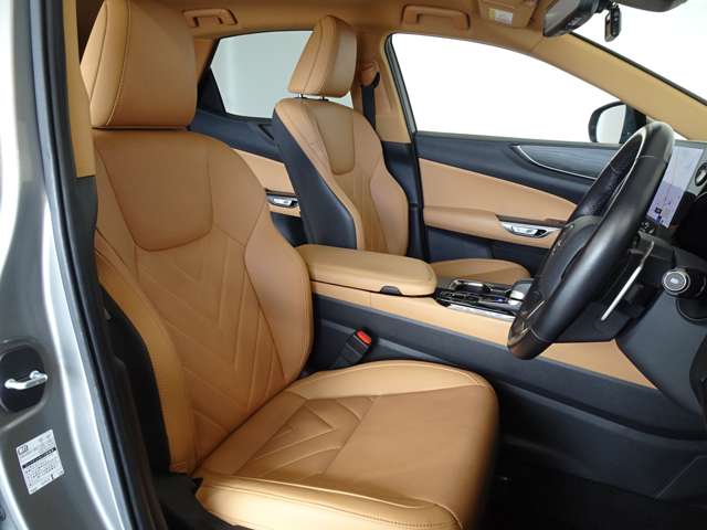 Lexus NX 9