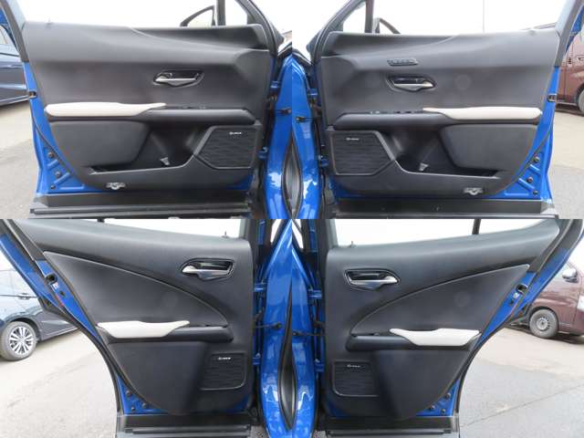 Lexus UX 11