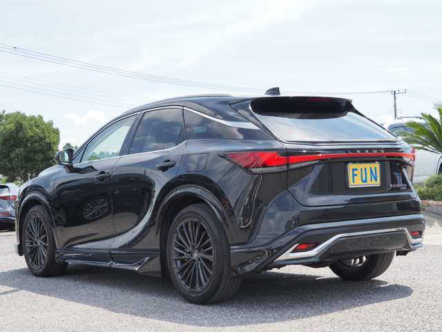 Lexus RX 6