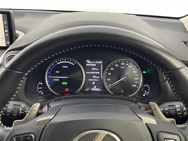 Lexus NX 11