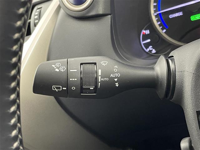 Lexus NX 12