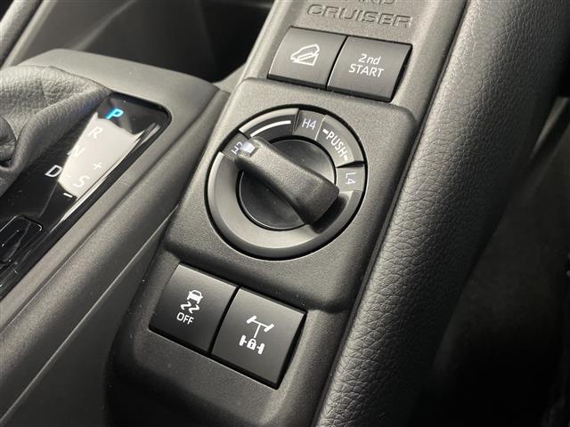 Toyota Land Cruiser FJ 10