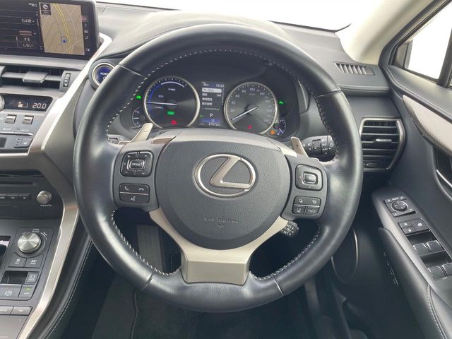 Lexus NX 11