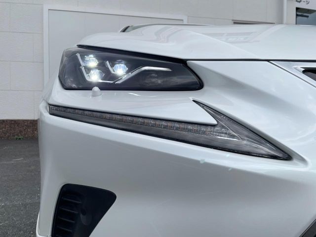 Lexus NX 12
