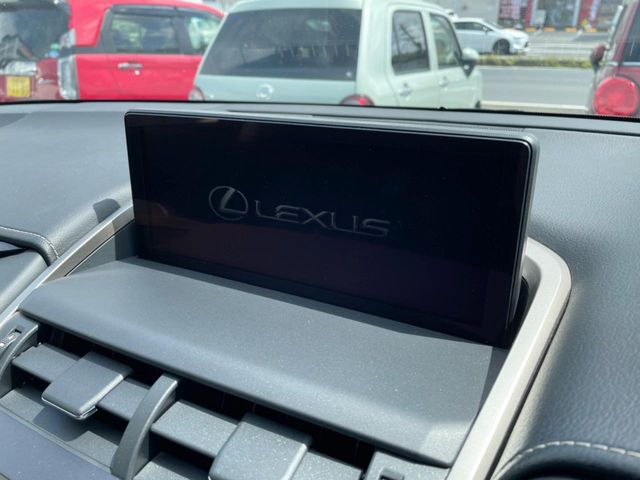 Lexus NX 4