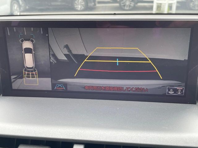 Lexus NX 6