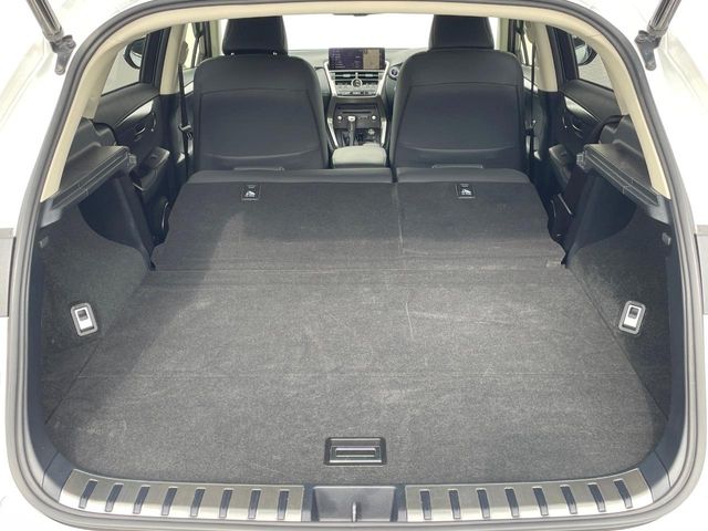Lexus NX 10