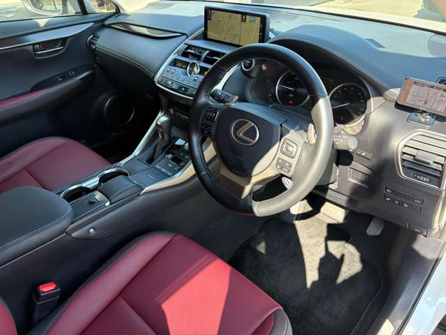 Lexus NX 11