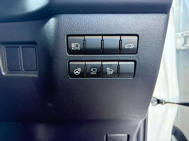 Lexus NX 12
