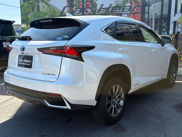 Lexus NX 6