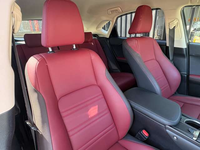 Lexus NX 9