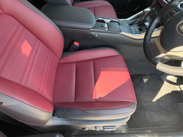 Lexus NX 10