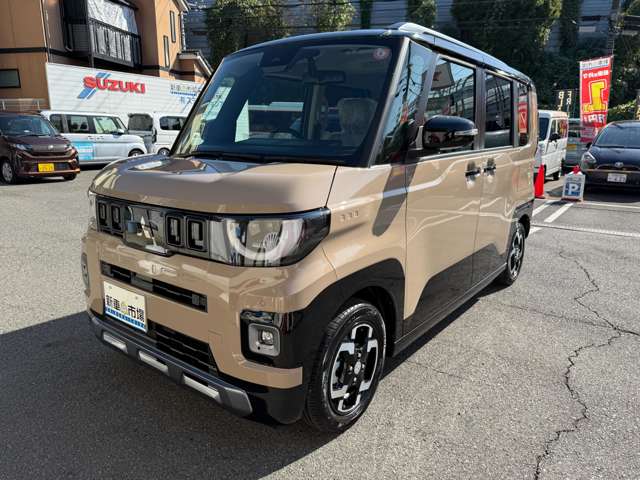 Mitsubishi Delica Mini 11