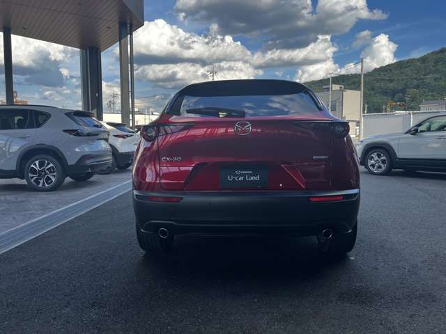 Mazda CX-30 6