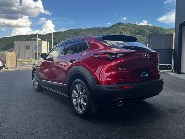 Mazda CX-30 7