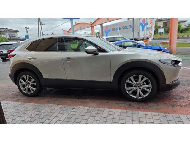Mazda CX-30 6