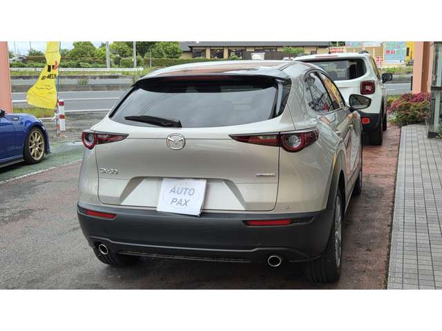 Mazda CX-30 9