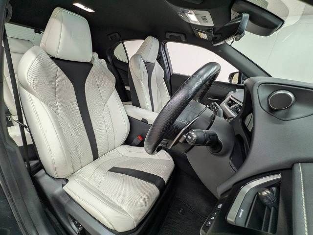 Lexus UX 11
