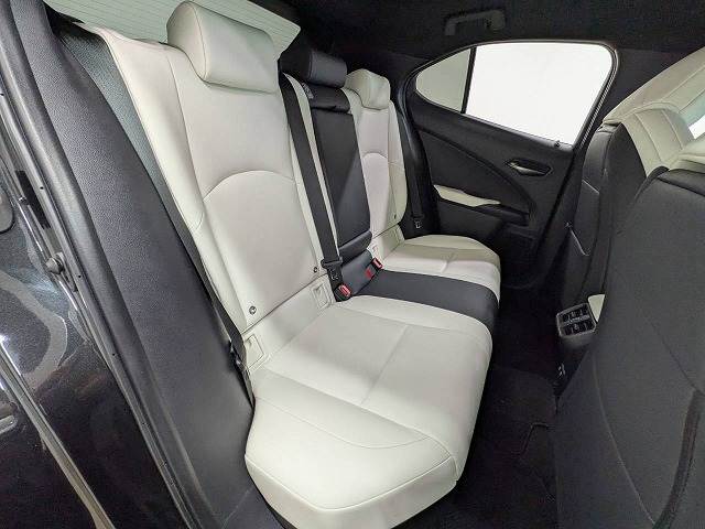 Lexus UX 12