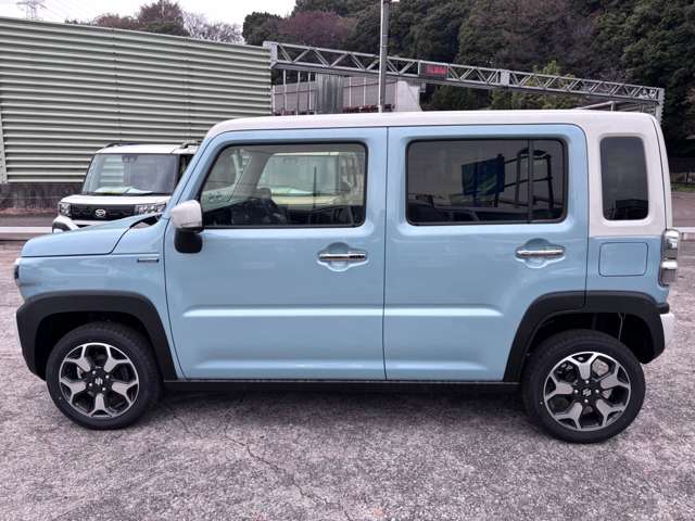 Suzuki Hustler 11