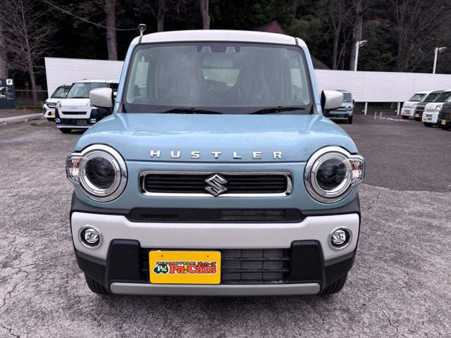 Suzuki Hustler 5