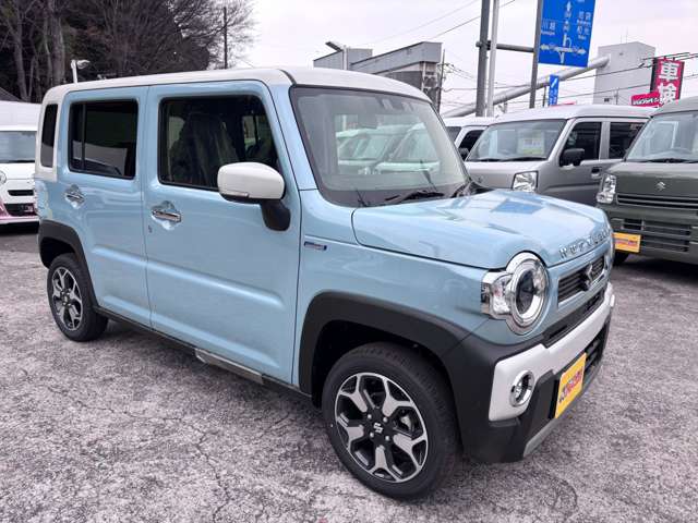 Suzuki Hustler 6