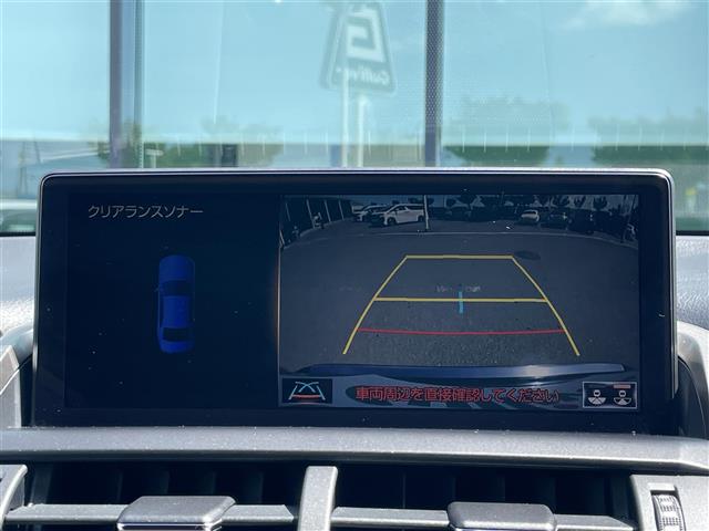 Lexus NX 7