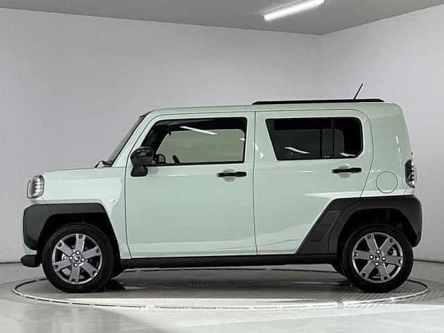 Daihatsu Taft 11