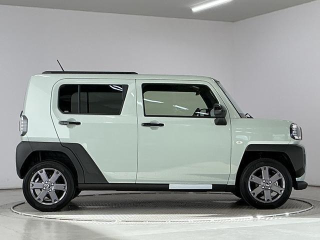 Daihatsu Taft 10