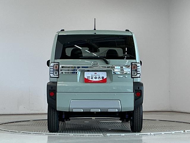 Daihatsu Taft 11