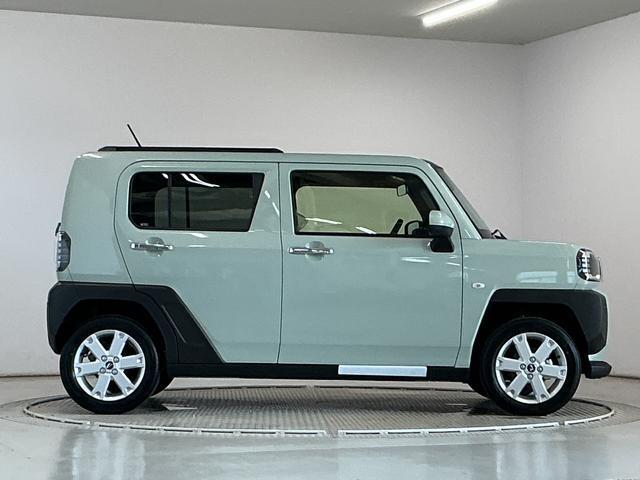 Daihatsu Taft 12