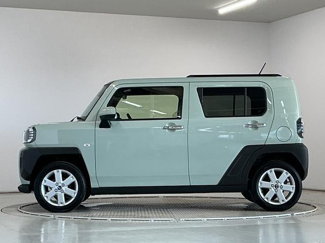 Daihatsu Taft 10
