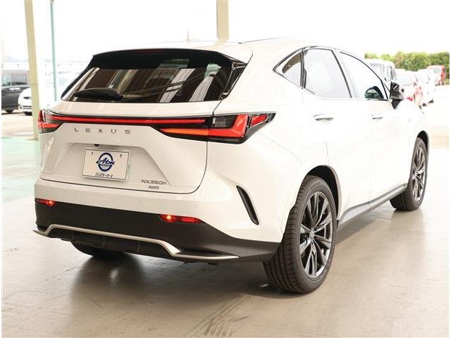 Lexus NX 12