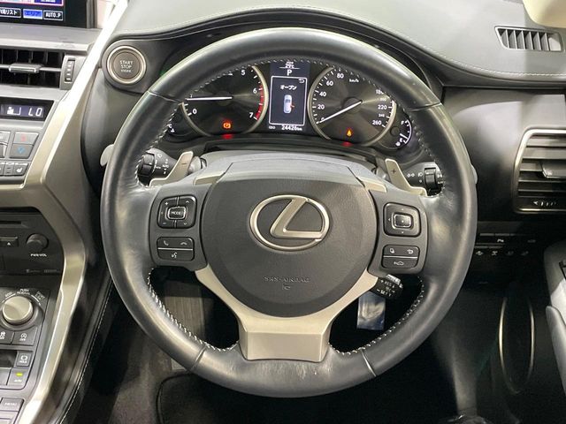 Lexus NX 12