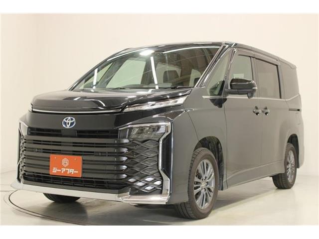 Toyota Voxy 9