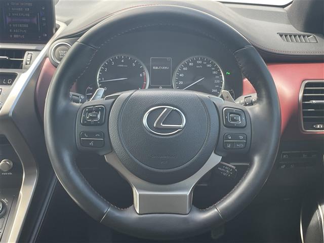 Lexus NX 11