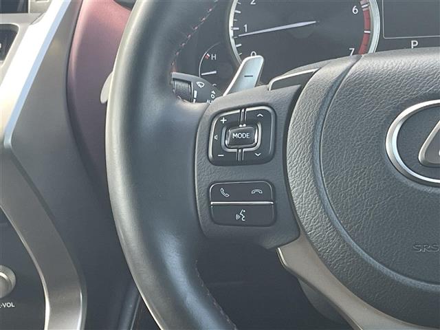 Lexus NX 12