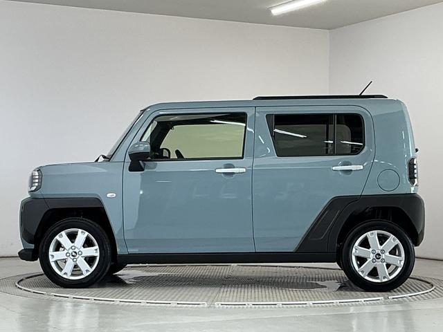 Daihatsu Taft 11