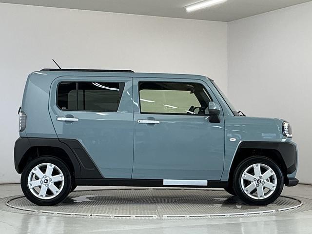 Daihatsu Taft 10