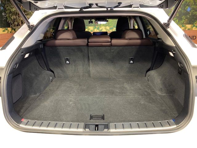 Lexus RX 11