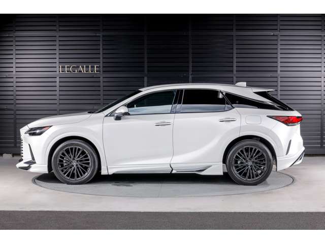 Lexus RX 11