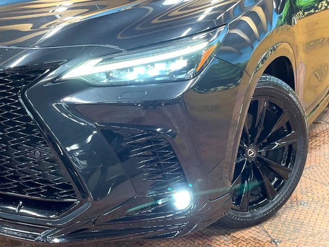 Lexus NX 12
