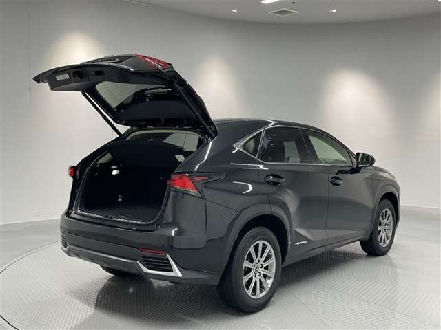 Lexus NX 11