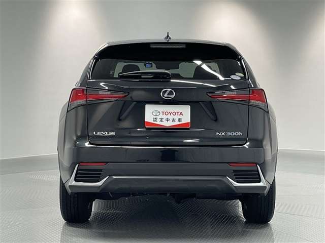 Lexus NX 10