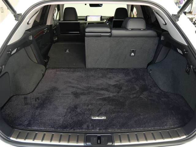 Lexus RX 11