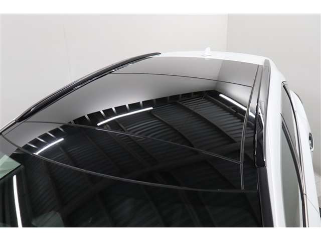 Lexus RX 12