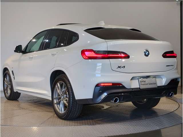 BMW X4 10