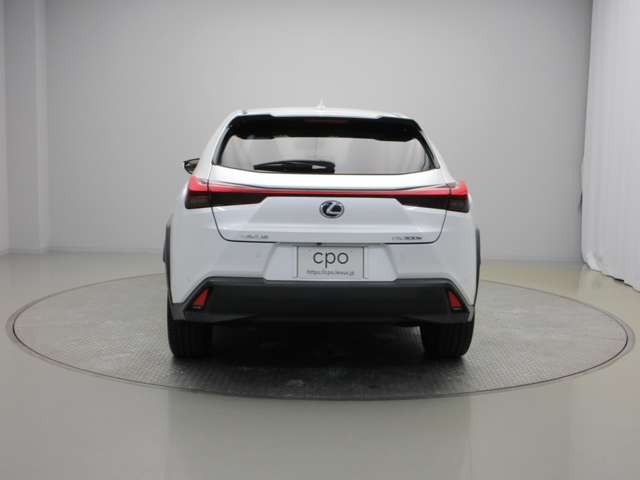 Lexus UX300e 5